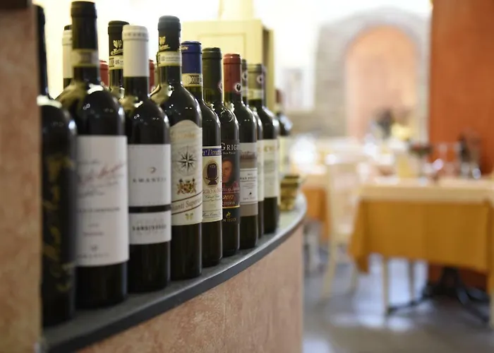 Gasthuis Il Feudo San Gimignano